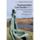 Psychoanalytic Case Studies from an Interpersonal-Relational Perspective