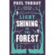 Light Shining in the Forest