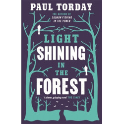 Light Shining in the Forest