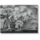 Sebastiao Salgado. Genesis. Postcard Set
