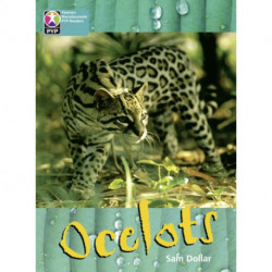PYP L10 Ocelots 6PK