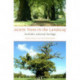 Ancient Trees in the Landscape: Norfolk's arboreal heritage