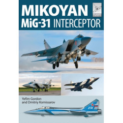 Flight Craft 8: Mikoyan MiG-31