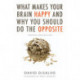 What Makes Your Brain Happy and Why You Should Do the Opposite: Updated and Revised