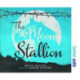 The Moon Stallion
