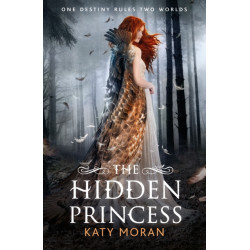 The Hidden Princess