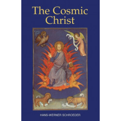 The Cosmic Christ