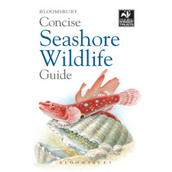 Concise Seashore Wildlife Guide