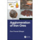 Agglomeration of Iron Ores