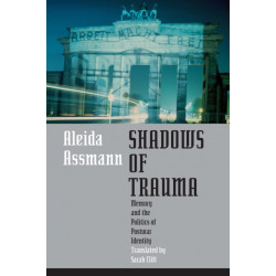 Shadows of Trauma: Memory and the Politics of Postwar Identity