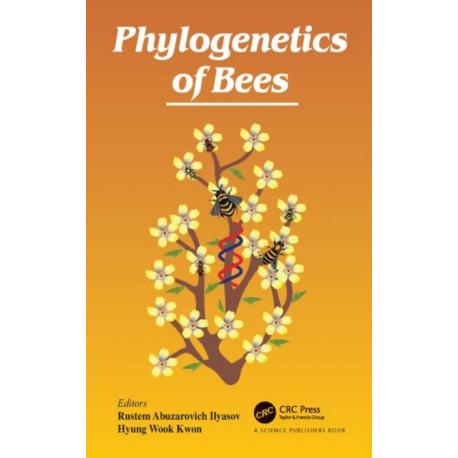 Phylogenetics of Bees