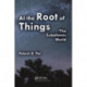 At the Root of Things: The Subatomic World