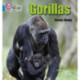 Gorillas: Band 04/Blue