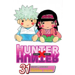 Hunter x Hunter, Vol. 31