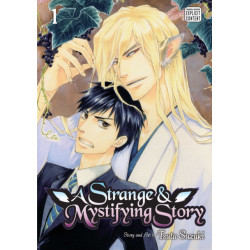 A Strange & Mystifying Story, Vol. 1
