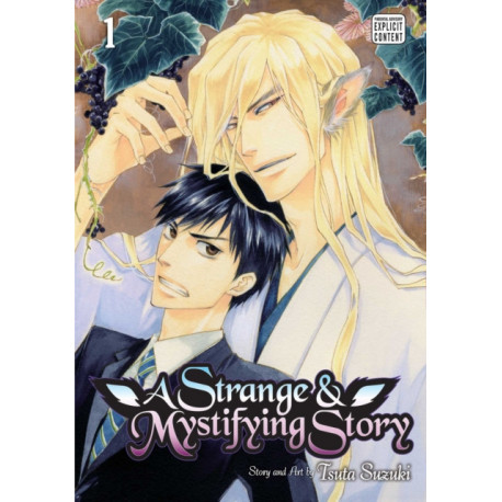 A Strange & Mystifying Story, Vol. 1