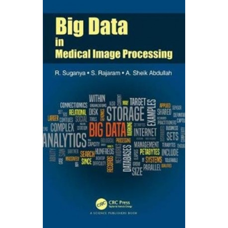 Big Data in Medical Image Processing