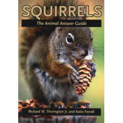 Squirrels: The Animal Answer Guide