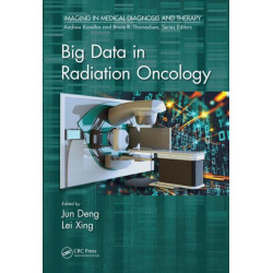 Big Data in Radiation Oncology
