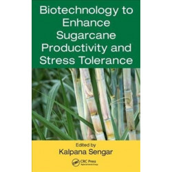 Biotechnology to Enhance Sugarcane Productivity and Stress Tolerance