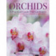 Orchids