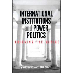 International Institutions and Power Politics: Bridging the Divide