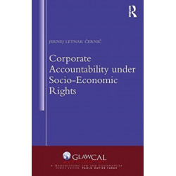 Corporate Accountability under Socio-Economic Rights