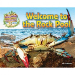 Welcome to the Rock Pool
