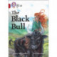 The Black Bull: Band 14/Ruby