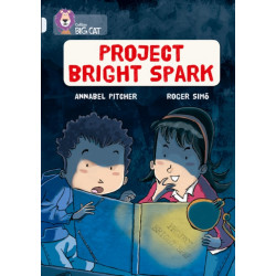 Project Bright Spark: Band 17/Diamond