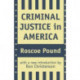 Criminal Justice in America