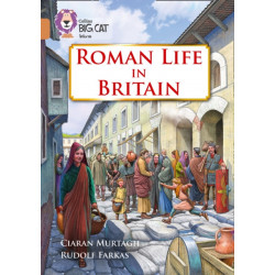 Roman Life in Britain: Band 12/Copper