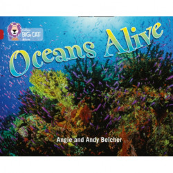 Oceans Alive: Band 14/Ruby
