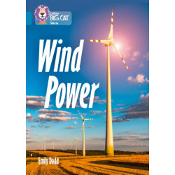 Wind Power: Band 13/Topaz