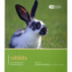 Rabbit - Pet Friendly