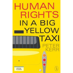 Human Rights in a Big Yellow Taxi
