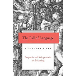 The Fall of Language: Benjamin and Wittgenstein on Meaning