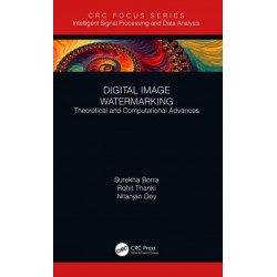 Digital Image Watermarking: Theoretical and Computational Advances