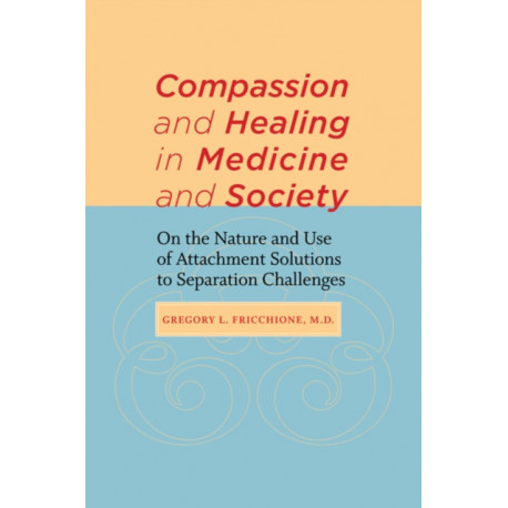 Compassion and Healing in Medicine and Society: On the Nature and Use of Attachment Solutions to Separation Challenges