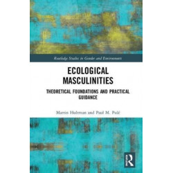 Ecological Masculinities: Theoretical Foundations and Practical Guidance