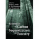 Economics of Carbon Sequestration in Forestry