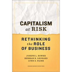 Capitalism at Risk: Rethinking the Role of Business