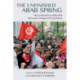 The Unfinished Arab Spring: Micro-Dynamics of Revolts between Change and Continuity