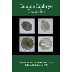 Equine Embryo Transfer
