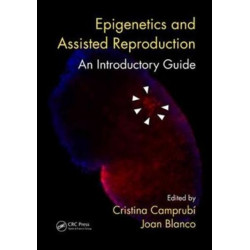 Epigenetics and Assisted Reproduction: An Introductory Guide