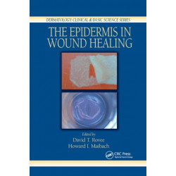 The Epidermis in Wound Healing