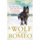 A Wolf Called Romeo