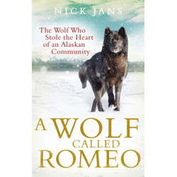 A Wolf Called Romeo