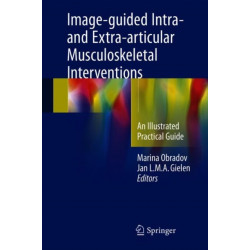 Image-guided Intra- and Extra-articular Musculoskeletal Interventions: An Illustrated Practical Guide