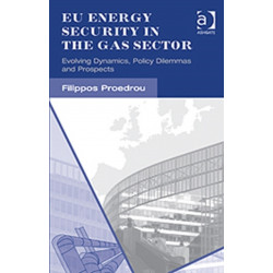 EU Energy Security in the Gas Sector: Evolving Dynamics, Policy Dilemmas and Prospects